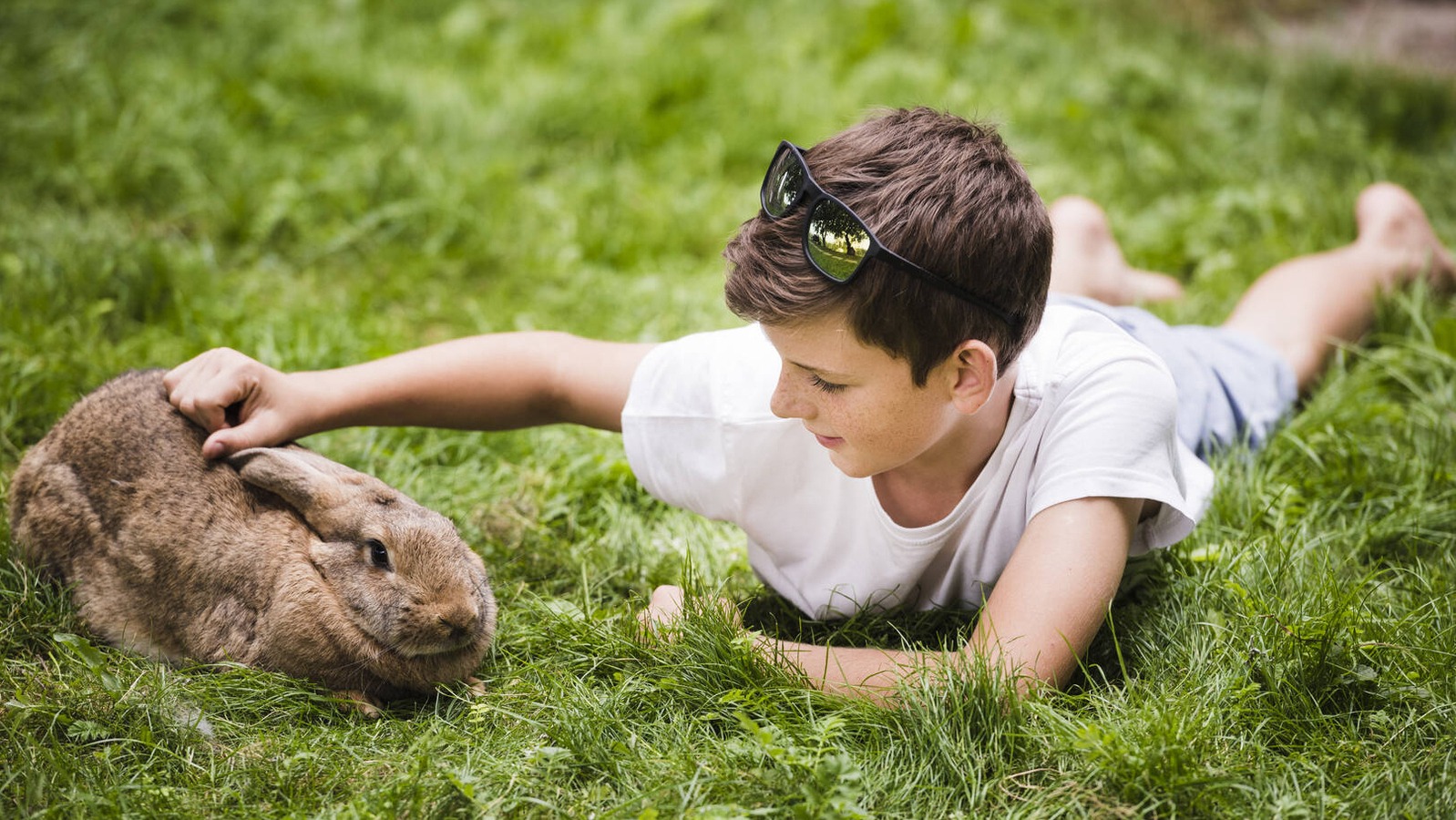 Mascotas y niños: 4 razones para tener una en casa