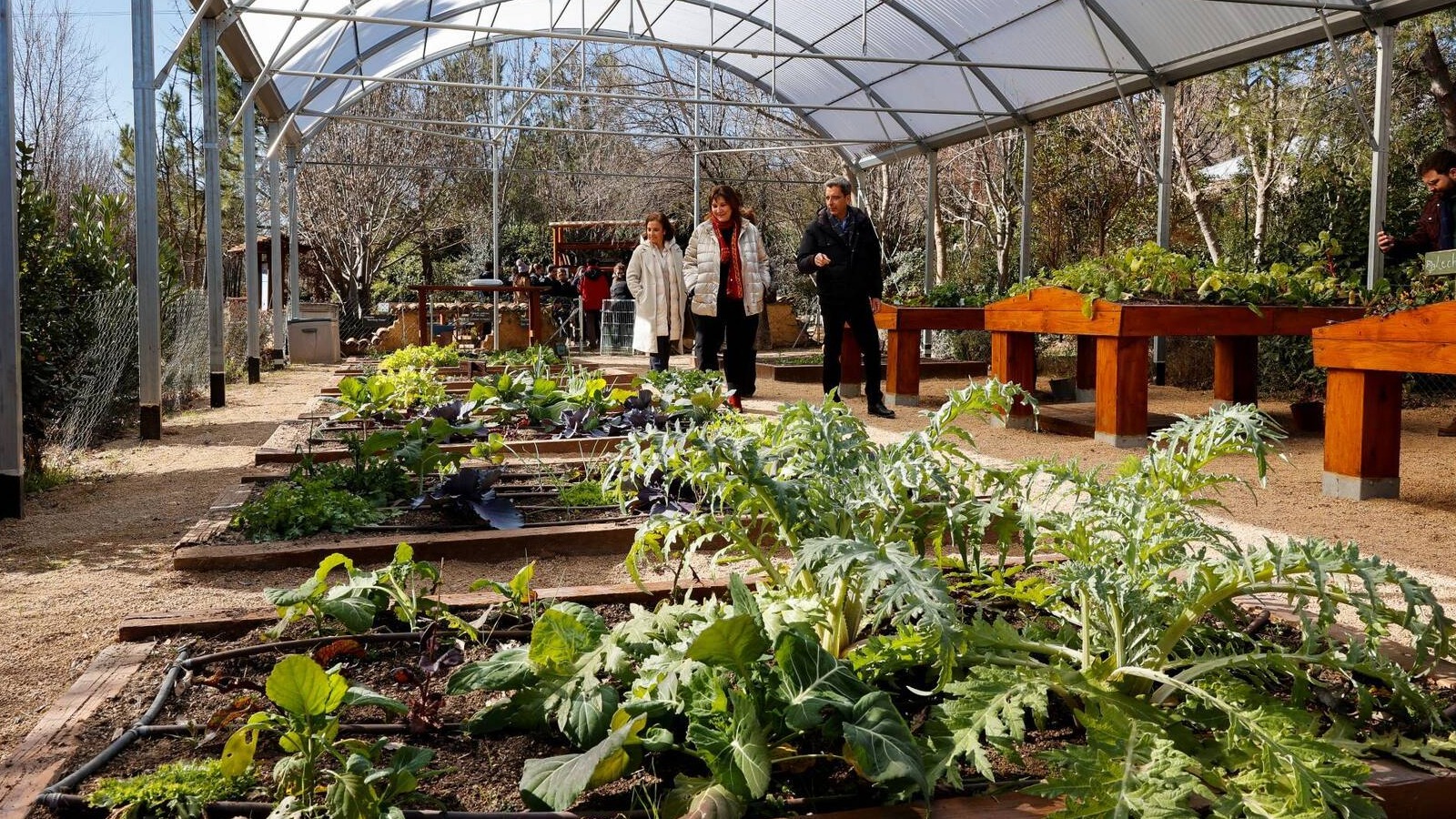 Nuevos invernaderos en el Aula de Educación Ambiental de Pozuelo