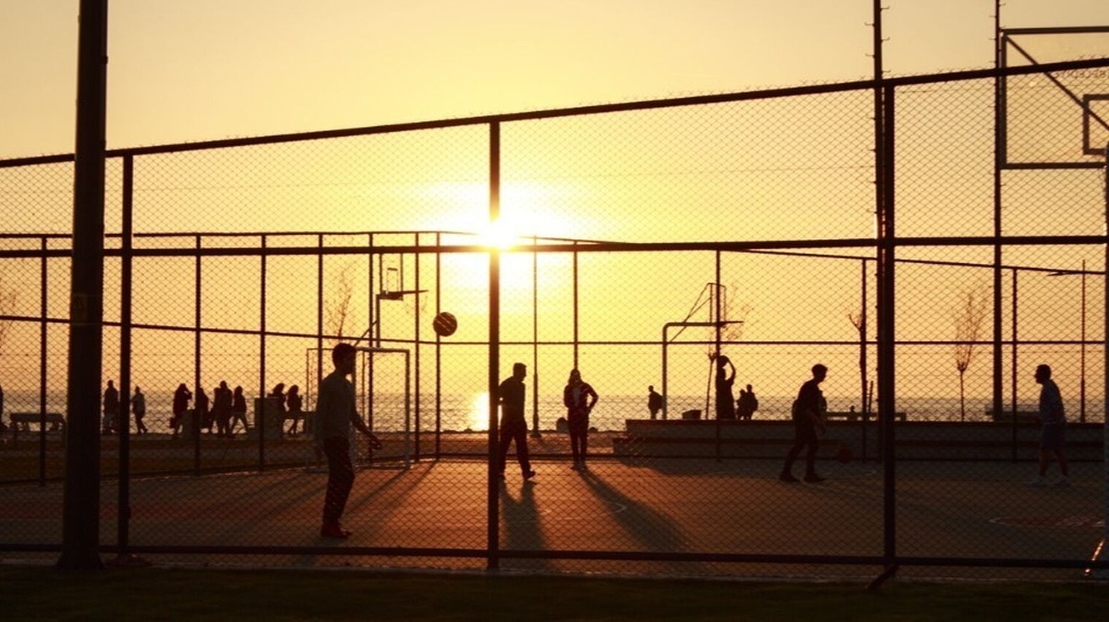 El papel de España en el baloncesto