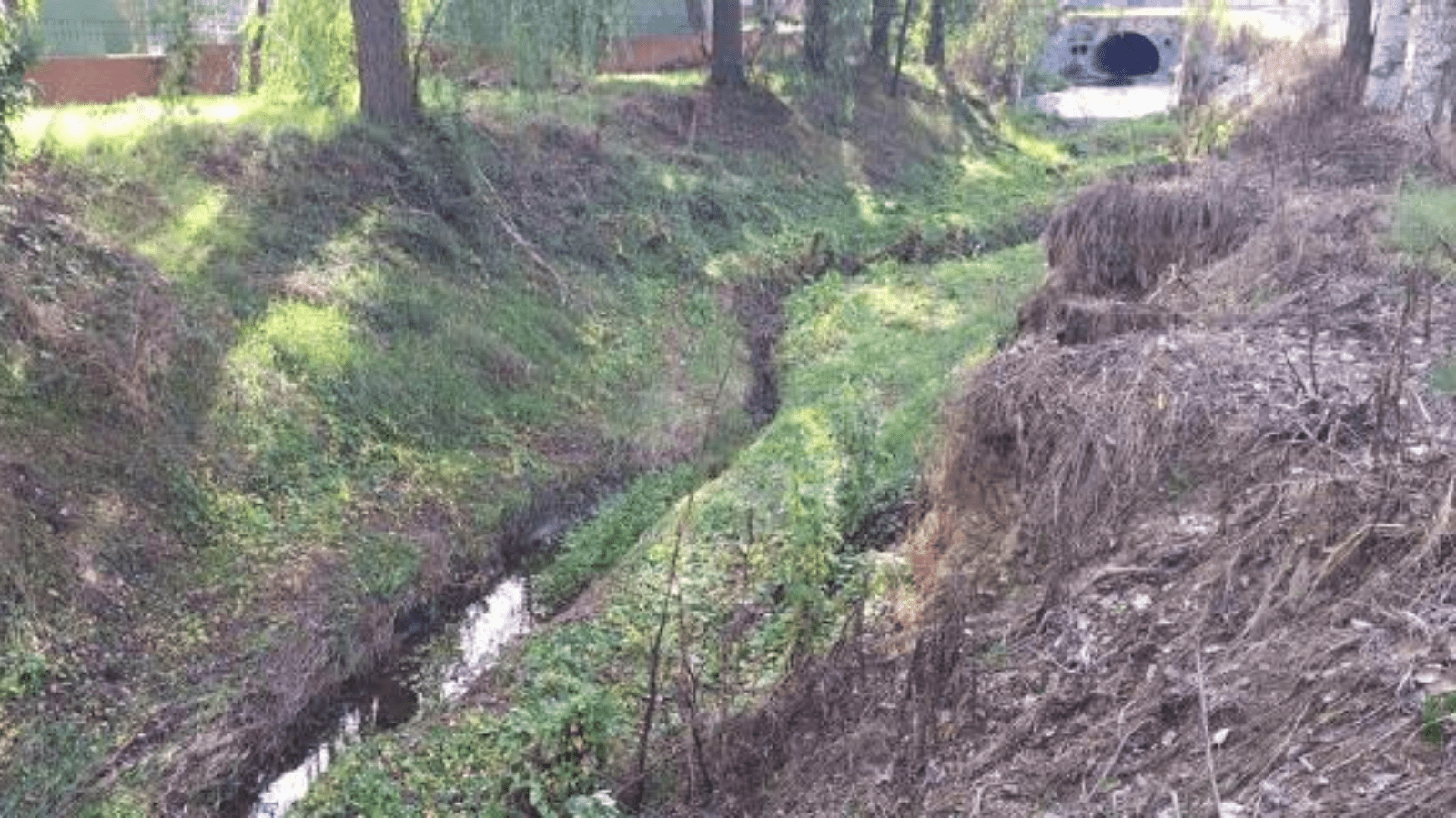 Vecinos califican el Arroyo Pozuelo como un foco de insalubridad por la falta de limpieza