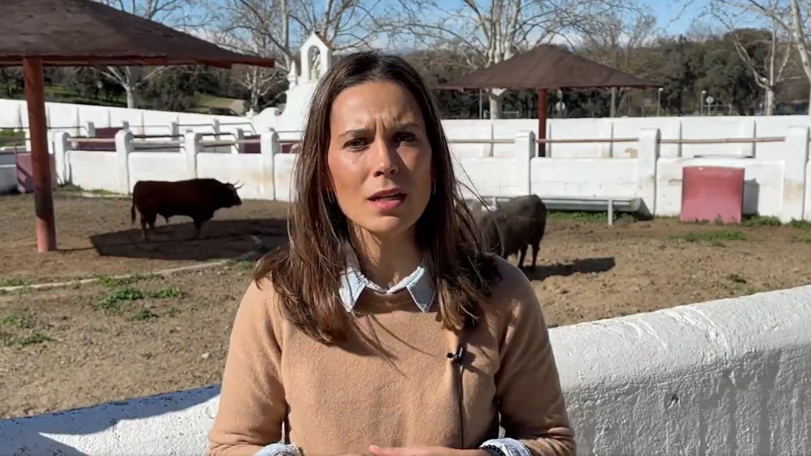 240229 ainhoa garcia plaza toros pozuelo alarcon