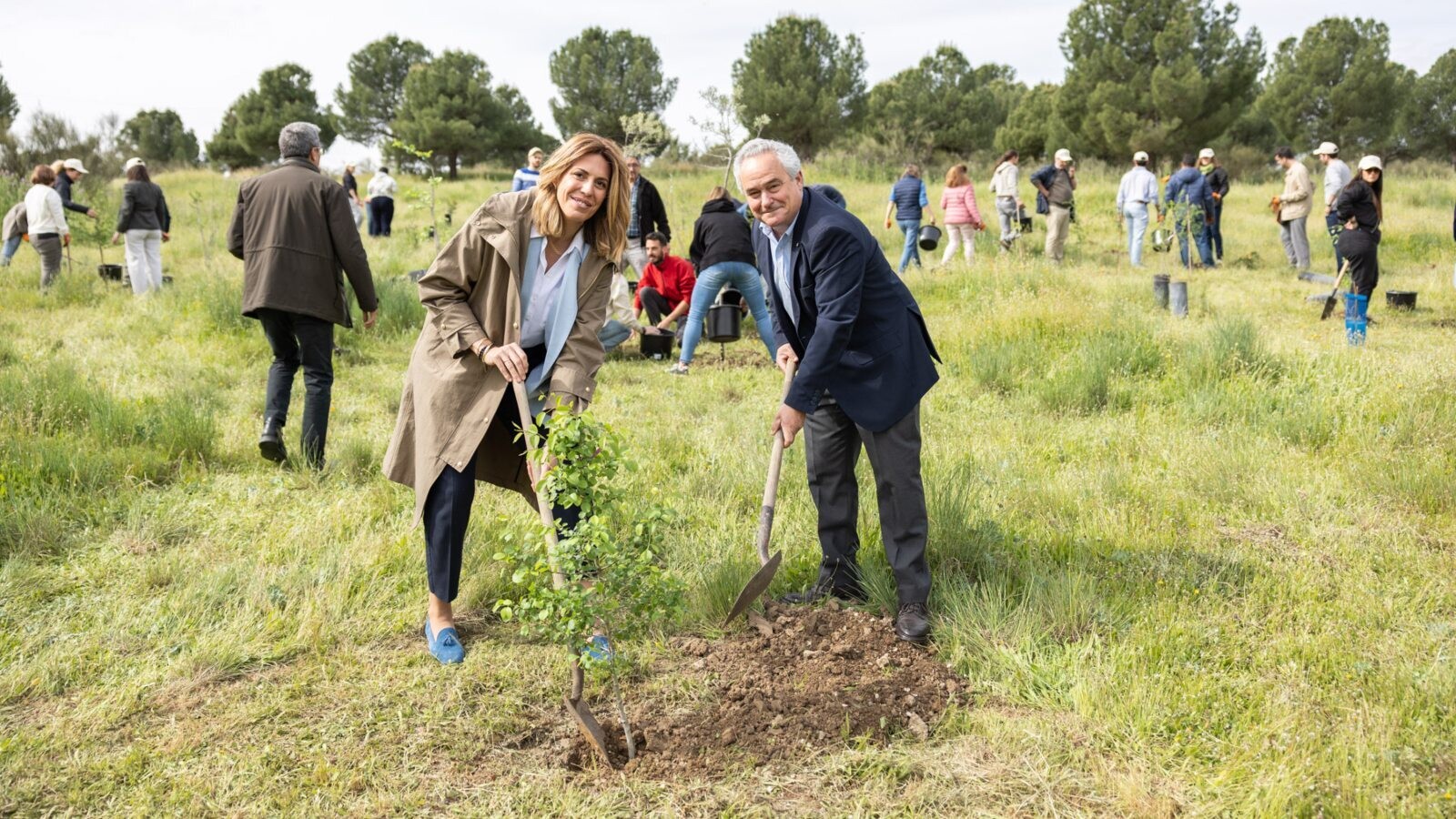 Pozuelo de Alarcón fomenta la integración laboral mediante el voluntariado ambiental