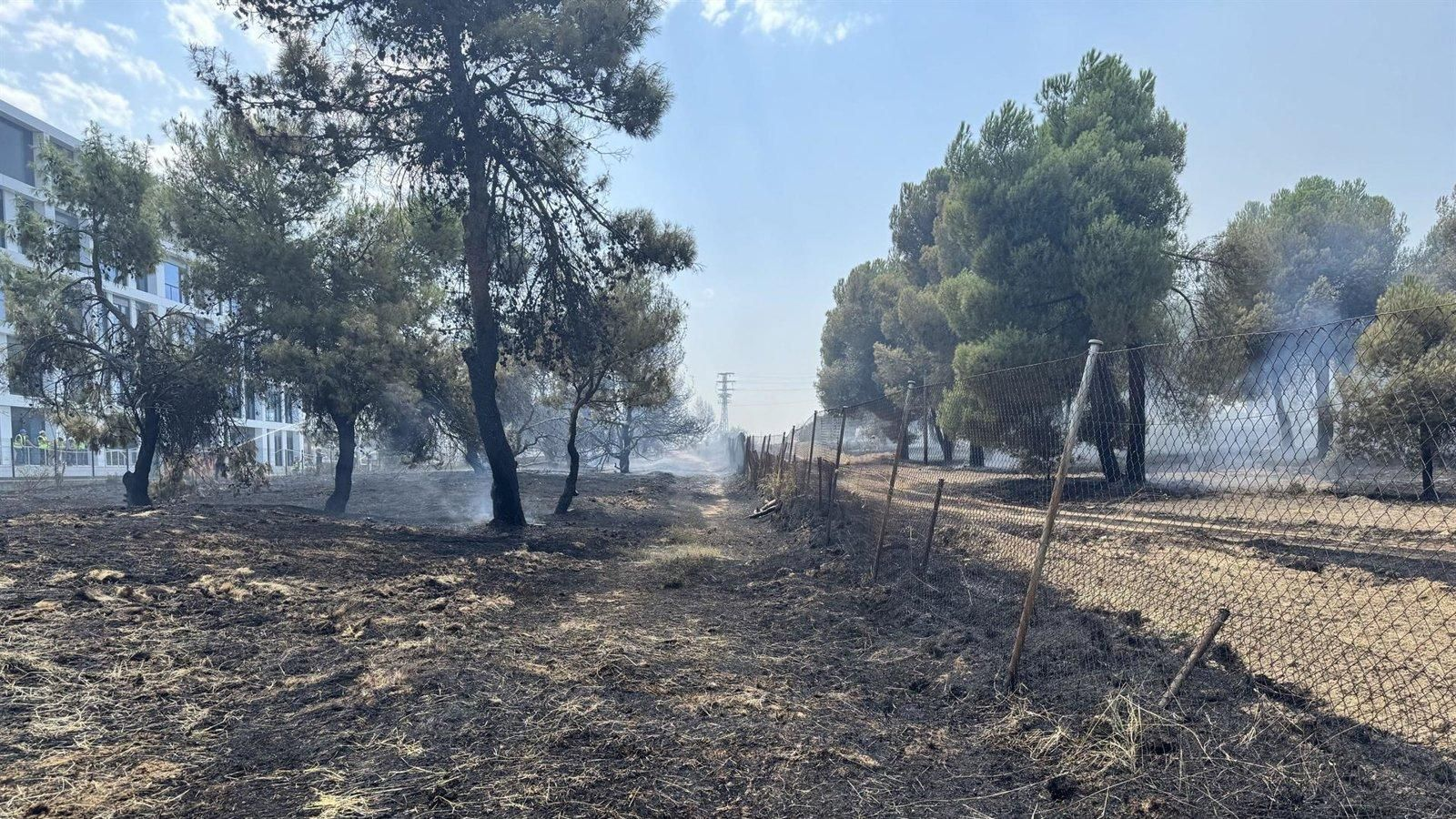 Sofocado un incendio de vegetación en Pozuelo junto a la M-40