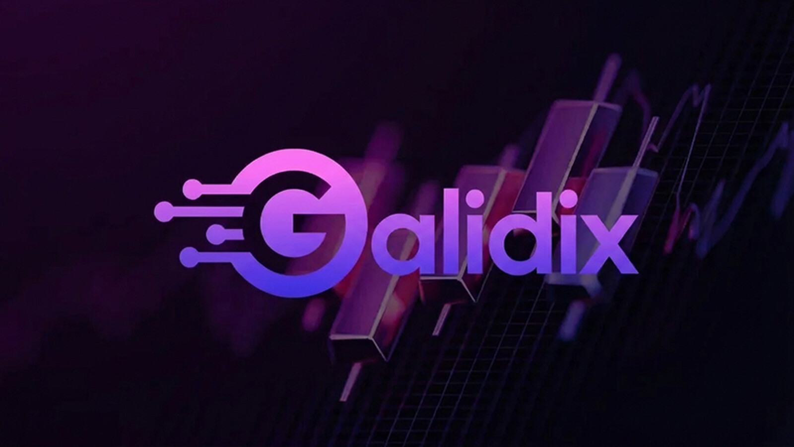 Galidix: El desarrollo del servicio como eje central