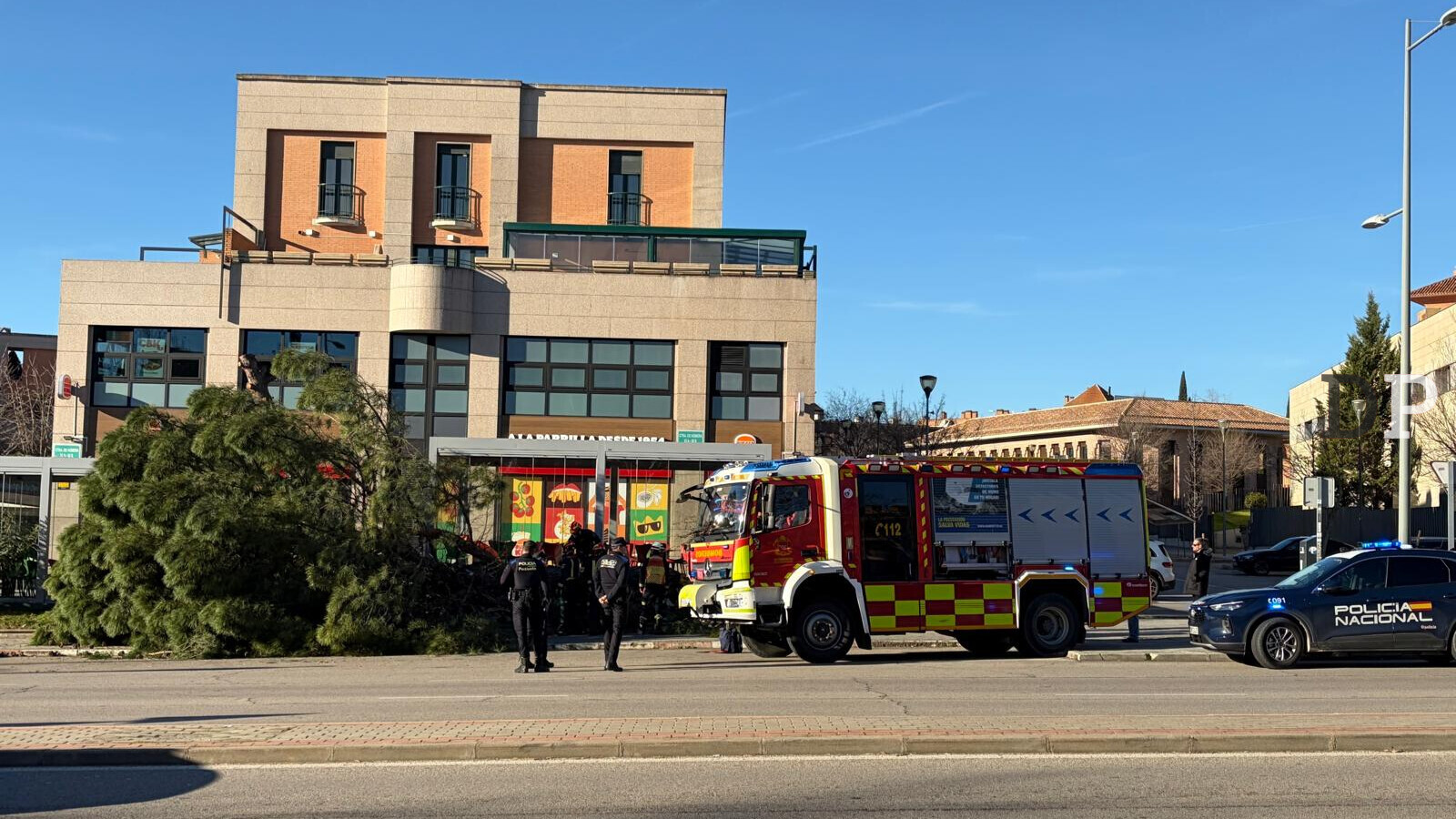 Bomberos y Policía intervienen por el desplome de un árbol en la Carretera de Húmera